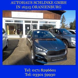 Fotografie Skoda Fabia Style 1.0 TSI SHZ PDC LED DAB SML SR WR
