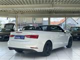 Audi A3 1.8 TFSI S-tronic Sport Navi Bi-Xenon B&O - Audi A3: 8t