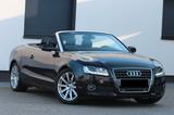 Audi A5 Cabriolet 2.7 TDI - Audi A5: 2.7