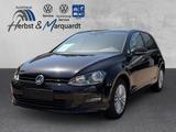 Volkswagen Golf 1.6 16V TDI DPF - Volkswagen Golf: 16 TDI