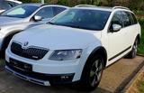 Skoda Octavia Combi Scout Country 4x4 AHK Automatik - Skoda Octavia: Allradantrieb, Scout