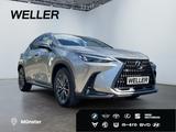 Lexus NX 450h+ E-FOUR Executive Line *LED*AHK*360°*ACC - silberne Lexus NX 450h