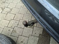 Volkswagen Touareg - Vorschau Bild 7