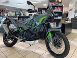 Kawasaki KLE 500 SE Rally  2026 TEAM WAHLERS SCHEEßEL - Angebote