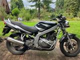 Suzuki GS 500 nur 2.300 km - SUZUKI GS 500