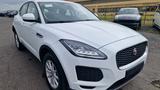 Jaguar E-PACE AWD Kamera Navigation LED - Jaguar Gebrauchtwagen von 2019