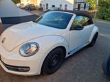 Volkswagen Beetle 1.4 TSI DSG CUP Cabriolet CUP