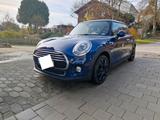MINI Mini Cooper Chili - MINI Cooper C von privat
