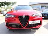 Alfa Romeo Stelvio Quadrifoglio Q4 2.9 V6 Bi-Turbo AD Panor - Alfa Romeo Neuwagen