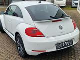 Volkswagen Beetle  TSI`Club*Navi*Sitzheiz.*Tempomat*1.Hand - Volkswagen Beetle: Coupe