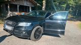 Audi SQ5 COMPETITION Bi-Turbo / 20 Zoll / ... - Audi mit Diesel-Antrieb: Turbo