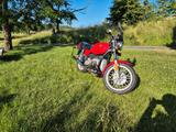 BMW R 45 / R 65  im Top Zustand HU neu! - BMW R 45