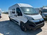 Clever Van Celebration  - Clever Neu