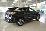 Renault Austral Techno Full Hybrid 19*Alu/Navi/el.Klappe - Renault Gebrauchtwagen in Magdeburg