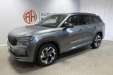 Skoda Kodiaq 1.5 TSI 110 kW Sportline AHK 7-Sitze - Skoda: Sport
