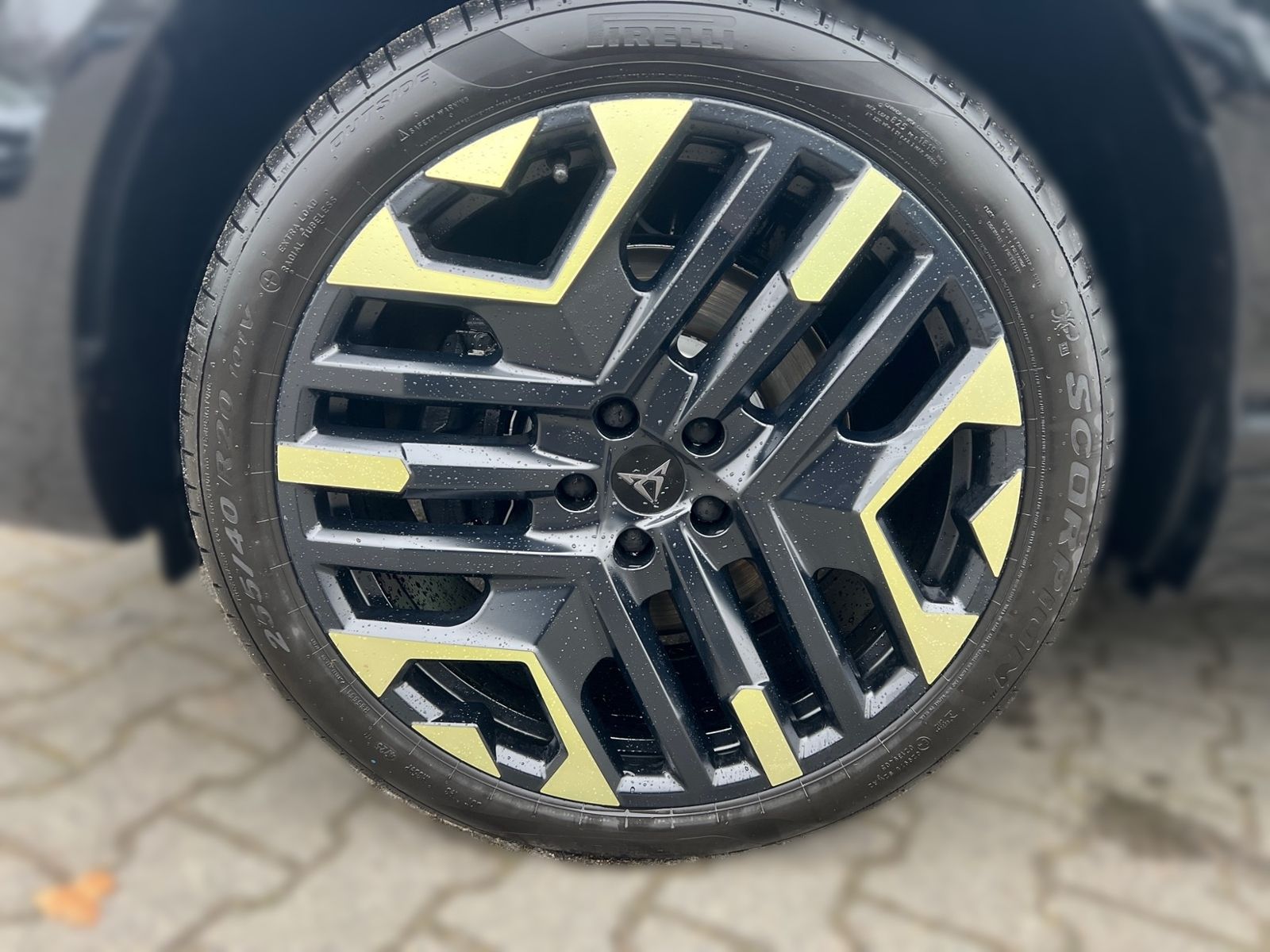 Cupra Terramar - Bild 7