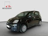 Fiat Panda 1.0 Hybrid - gebrauchte Fiat Panda aus dem Jahr 2021