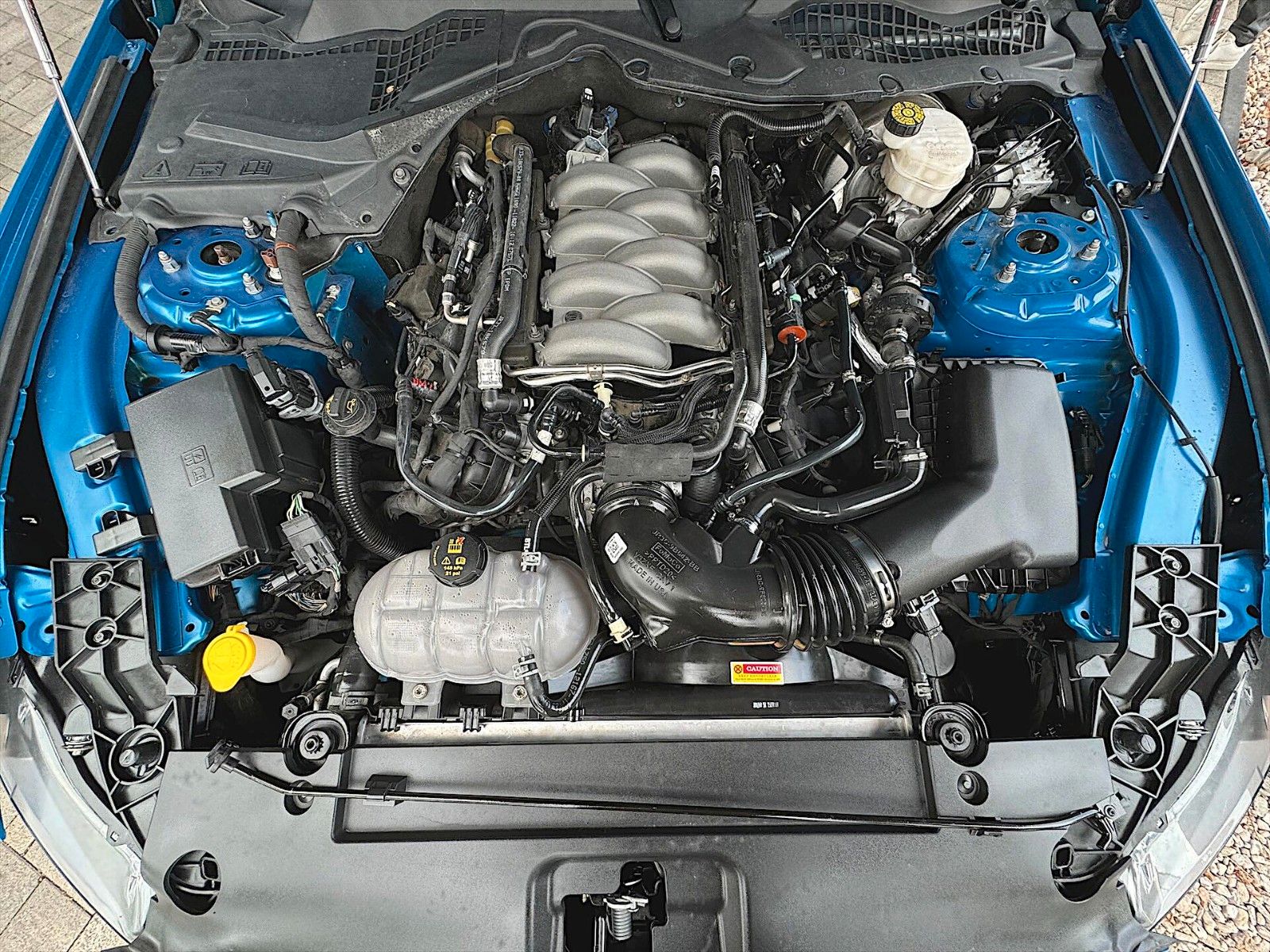 Fahrzeugabbildung Ford Mustang Shelby GT 500 5.0 V8 Performance PREMIUM