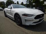 Ford Mustang 2.3 EcoBoost Cabrio - Ford Mustang Gebrauchtwagen in Düsseldorf