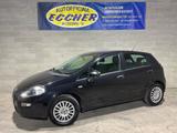 Fiat Punto 1.3 MJT 75CV 5 PORTE NEOPATENTATI - Fiat Punto mit Diesel-Antrieb: Limousine