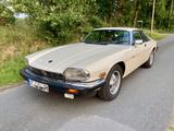 Jaguar XJS 5.3 V12 (1988), Exzellenter Zustand, 87 Tkm - Jaguar aus 1988