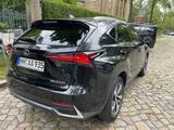 Lexus NX 300 300h Executive Line Executive Line - Lexus in Hamburg: Nx