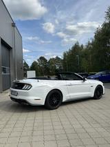 Ford Mustang 5.0 Ti-VCT V8 GT Auto GT - Ford Mustang Gebrauchtwagen in Bremen