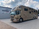 Scania P410 STX 6 Pferde Pop-Out, Pop-Up, Küche unten - Tier-/Pferdetransport 4 pferde
