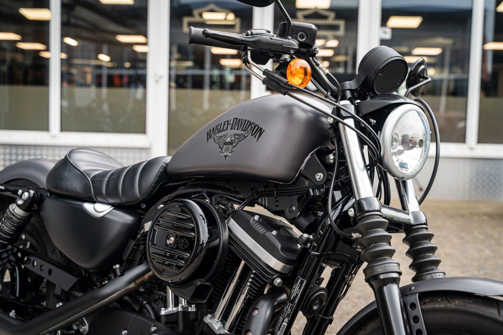Fahrzeugabbildung Harley-Davidson XL883N - Iron