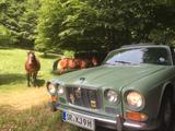 Jaguar XJ6 S1 mit toller Ausstattung in Top Zustand - Jaguar XJ6 Gebrauchtwagen