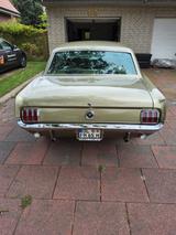 Ford Mustang - Ford Mustang in Oldenburg