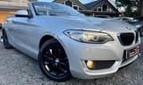BMW 220 2 Cabrio 220i-XENON-LEDER-LED-NAVI-TEMPO - silberne BMW 220