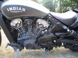 Indian Scout Bobber