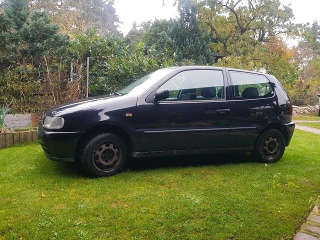 Volkswagen VW Polo 6N 1.6 Klima ALU Felgen