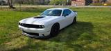 Andere Dodge Challenger Shaker RT 5.7 hemi v8 - Andere: Sportwagen