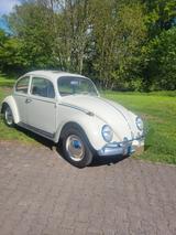 Volkswagen Käfer - Volkswagen Käfer in Bochum
