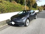 Tesla Model 3 Allradantrieb mit Dualmotor Long Ran... - Tesla in Wuppertal