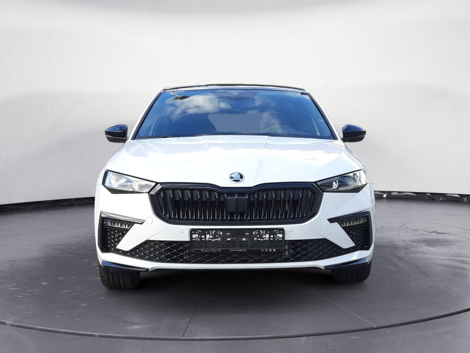 Scala Monte Carlo 1.5 TSI DSG Navi AHK PANO