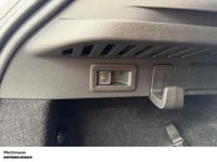 Skoda Kamiq - Vorschau Bild 12