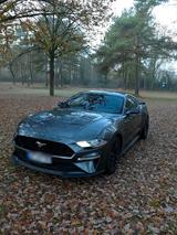 Ford Mustang GT 500 Performance - Ford Mustang: Performance