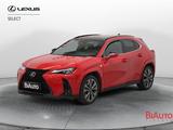 Lexus UX UX 300h 2.0 F-Sport 4wd cvt - rote Lexus UX