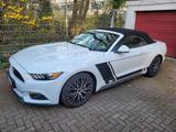 Ford Mustang 2.3 EcoBoost - Cabrio - Ford Mustang in Wiesbaden