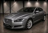 Jaguar XF 2.2 Diesel Automatik Leder Navigation - Jaguar XF Gebrauchtwagen