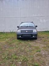 Fiat Panda - Fiat Panda in Bochum