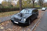 Mercedes-Benz E 55 AMG - Avantgarde mit AMG Styling