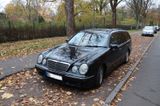 Mercedes-Benz E 55 AMG - Avantgarde mit AMG Styling