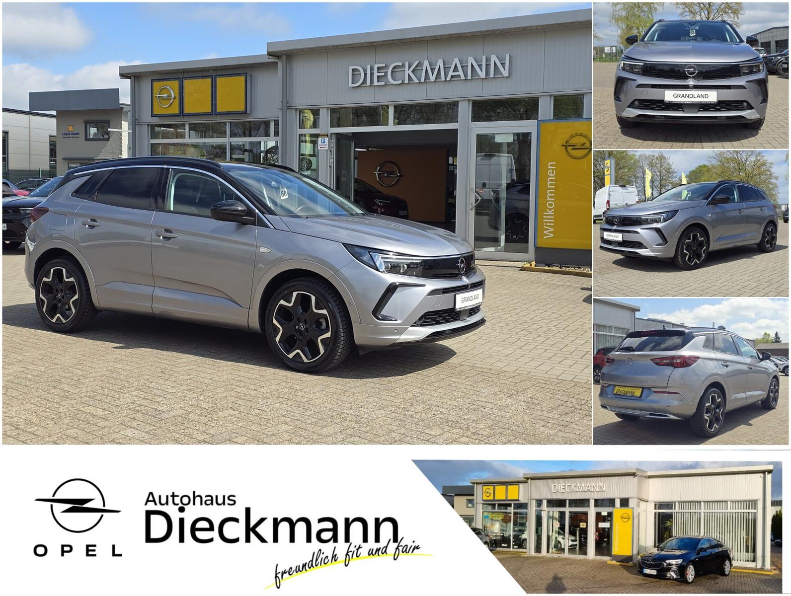 Opel Grandland Ultimate Leder SHZ RFK LED Navi E-Heck