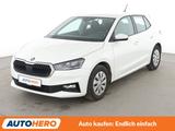 Skoda Fabia 1.0 TSI Ambition *LED*PDC*TEMPO*KLIMA* - Skoda Fabia Gebrauchtwagen in Frankfurt