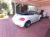 Volkswagen Beetle 2.0 TDI Cabrio 150 PS CUP Edition - Volkswagen Beetle mit Diesel-Antrieb: Cabrio