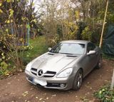 Mercedes-Benz SLK 280, FACELIFT , AMG Fahrwerk& Auspuff,... - Mercedes-Benz SLK 280 aus 2008